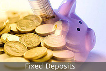 Fixed Deposits